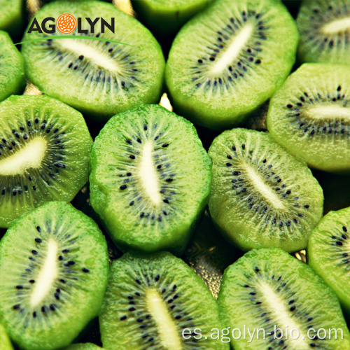 Granja al por mayor de alto nivel OEM Kiwi Fruit